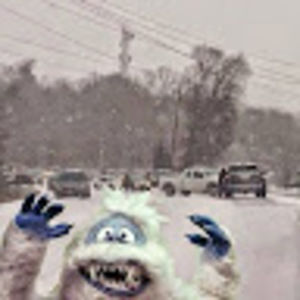 Meet your Posher, Peggy